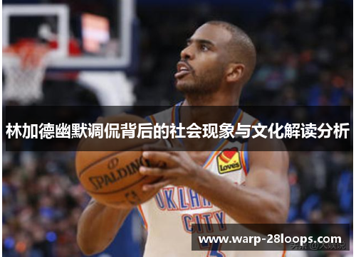 林加德幽默调侃背后的社会现象与文化解读分析