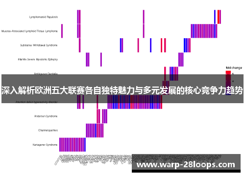 深入解析欧洲五大联赛各自独特魅力与多元发展的核心竞争力趋势