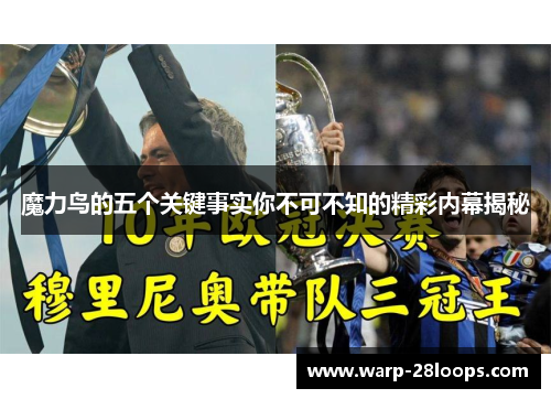 魔力鸟的五个关键事实你不可不知的精彩内幕揭秘