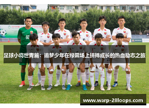 足球小将世青篇：追梦少年在绿茵场上拼搏成长的热血励志之旅