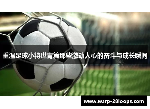 重温足球小将世青篇那些激动人心的奋斗与成长瞬间
