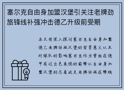 塞尔克自由身加盟汉堡引关注老牌劲旅锋线补强冲击德乙升级前受期