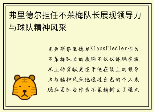 弗里德尔担任不莱梅队长展现领导力与球队精神风采